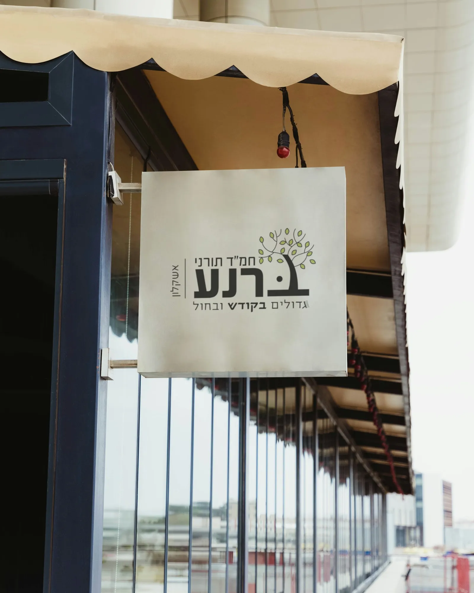 Hemed Torani Barnea logo on a real mockup