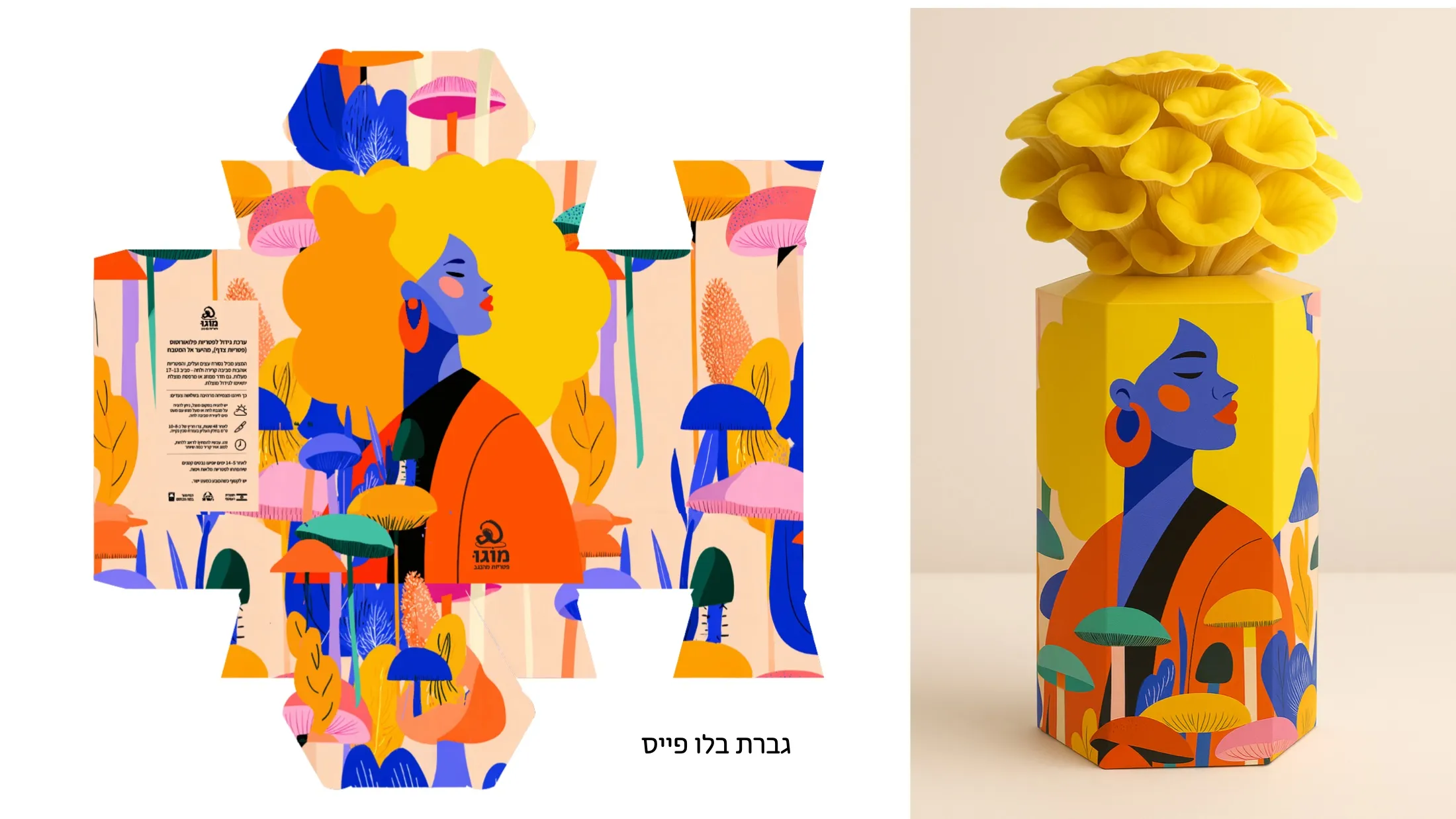 Direction one, flat. The dieline is part of the illustration.