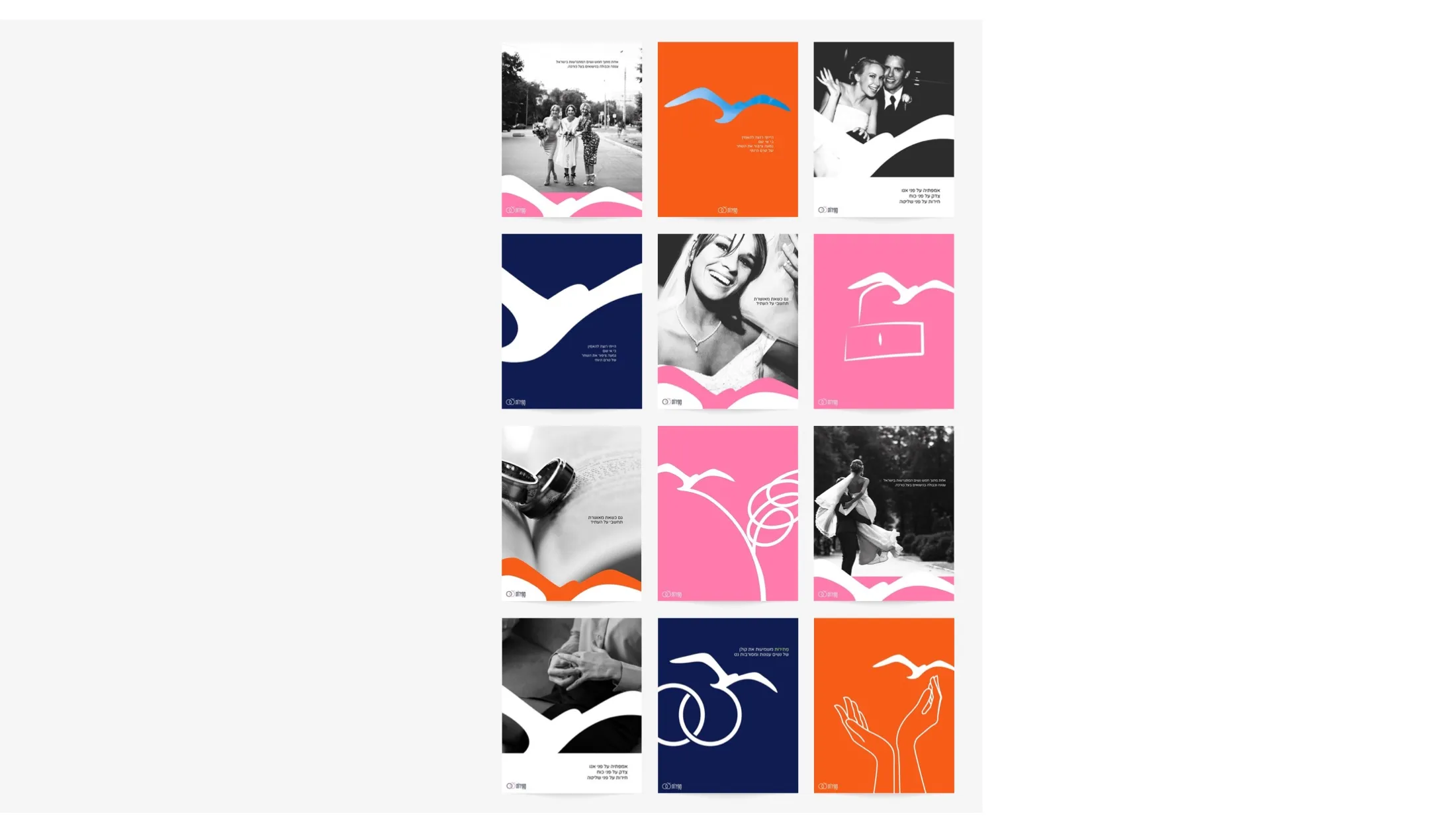 The social grid: photography, bird and type, in a fixed rhythm.