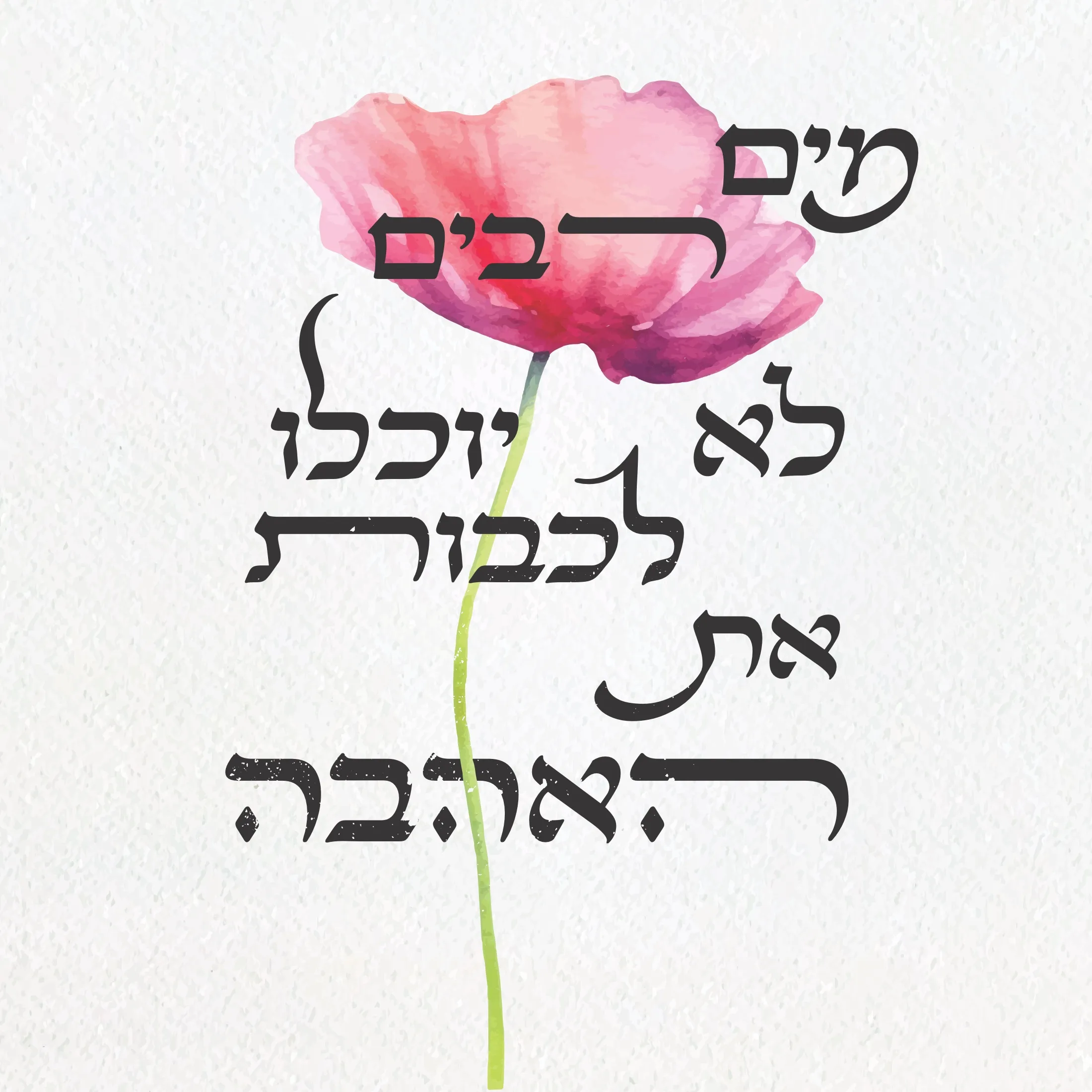 Judaica & Typography