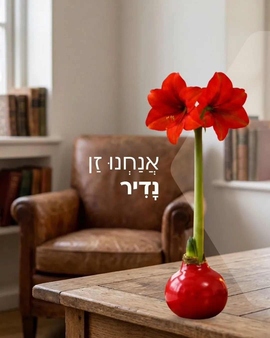 Sunbloom post 6