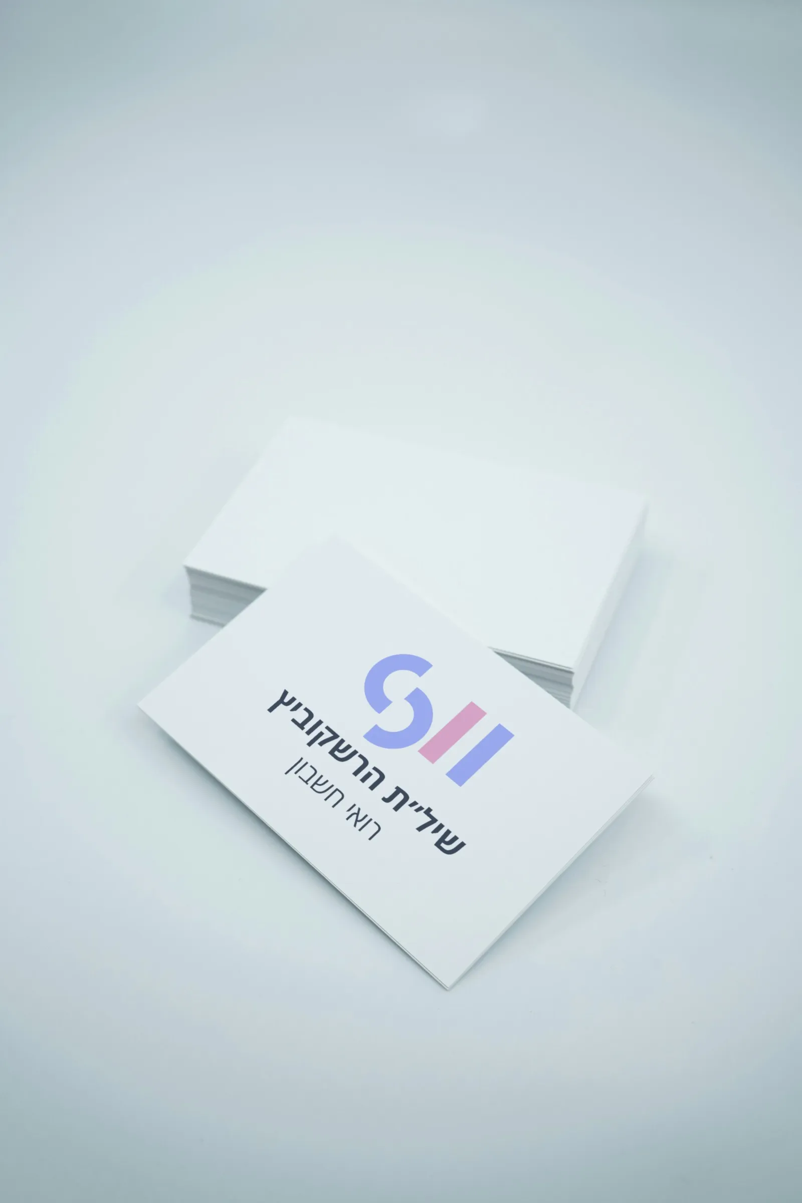 Shilat Hershkovitz logo on a real mockup