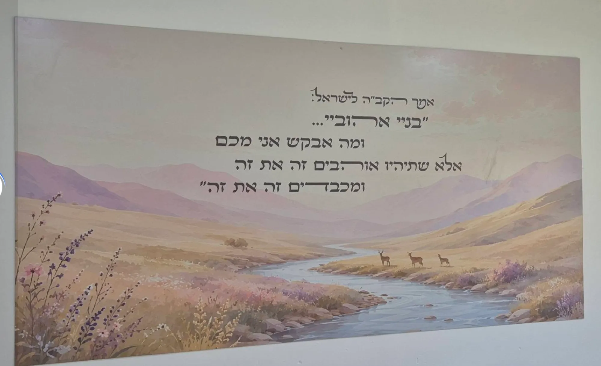 School Walls